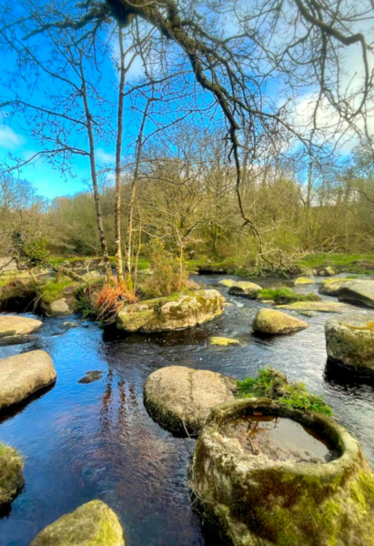 Journée immersive dans la forêt de Run Ar Puns