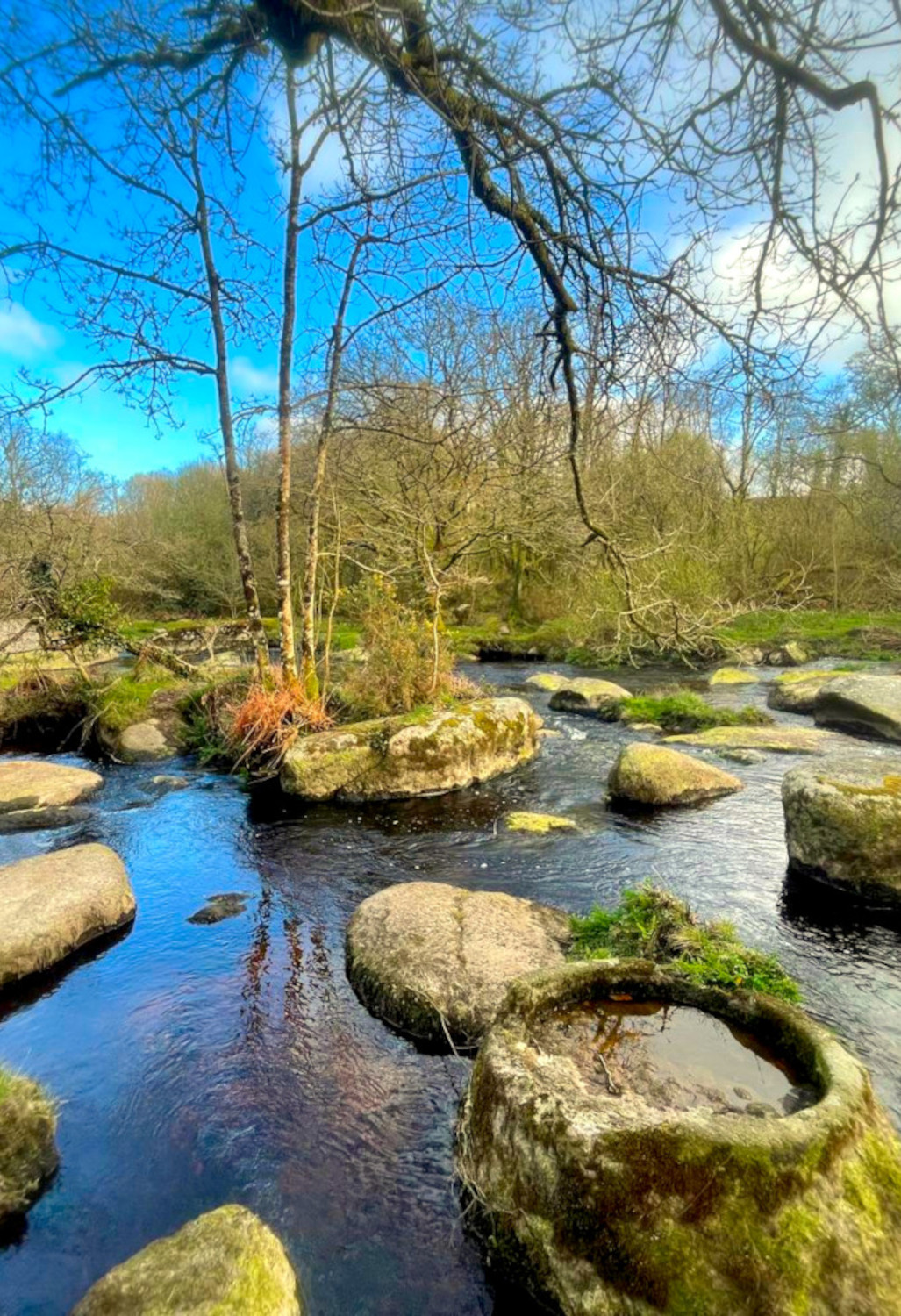Journée immersive dans la forêt de Run Ar Puns