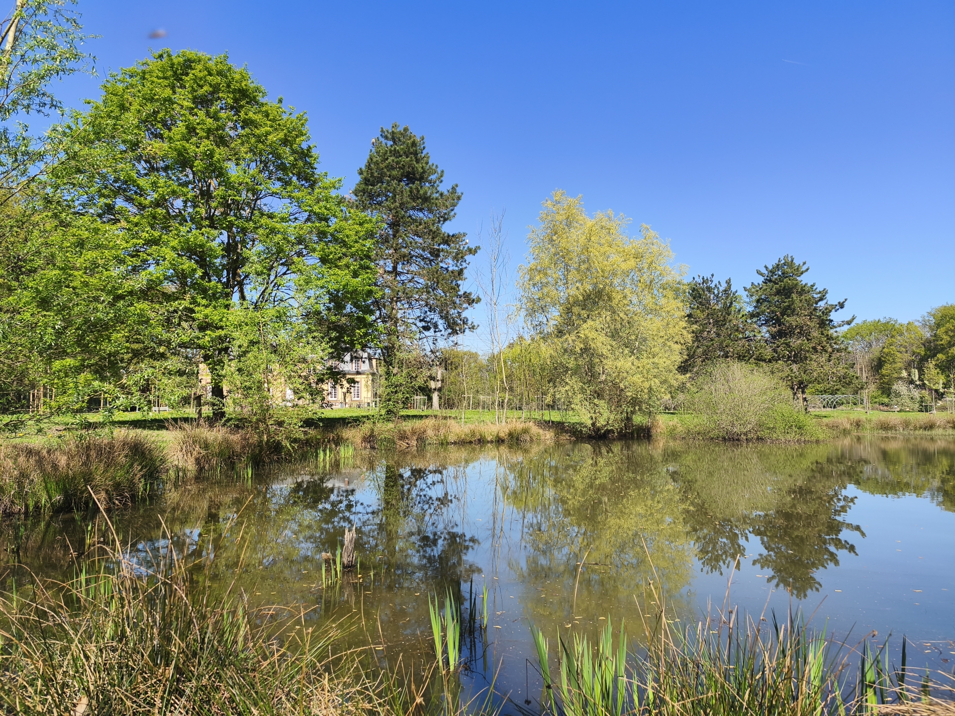 A la rencontre des vivants au Parc du Bois-Courtin