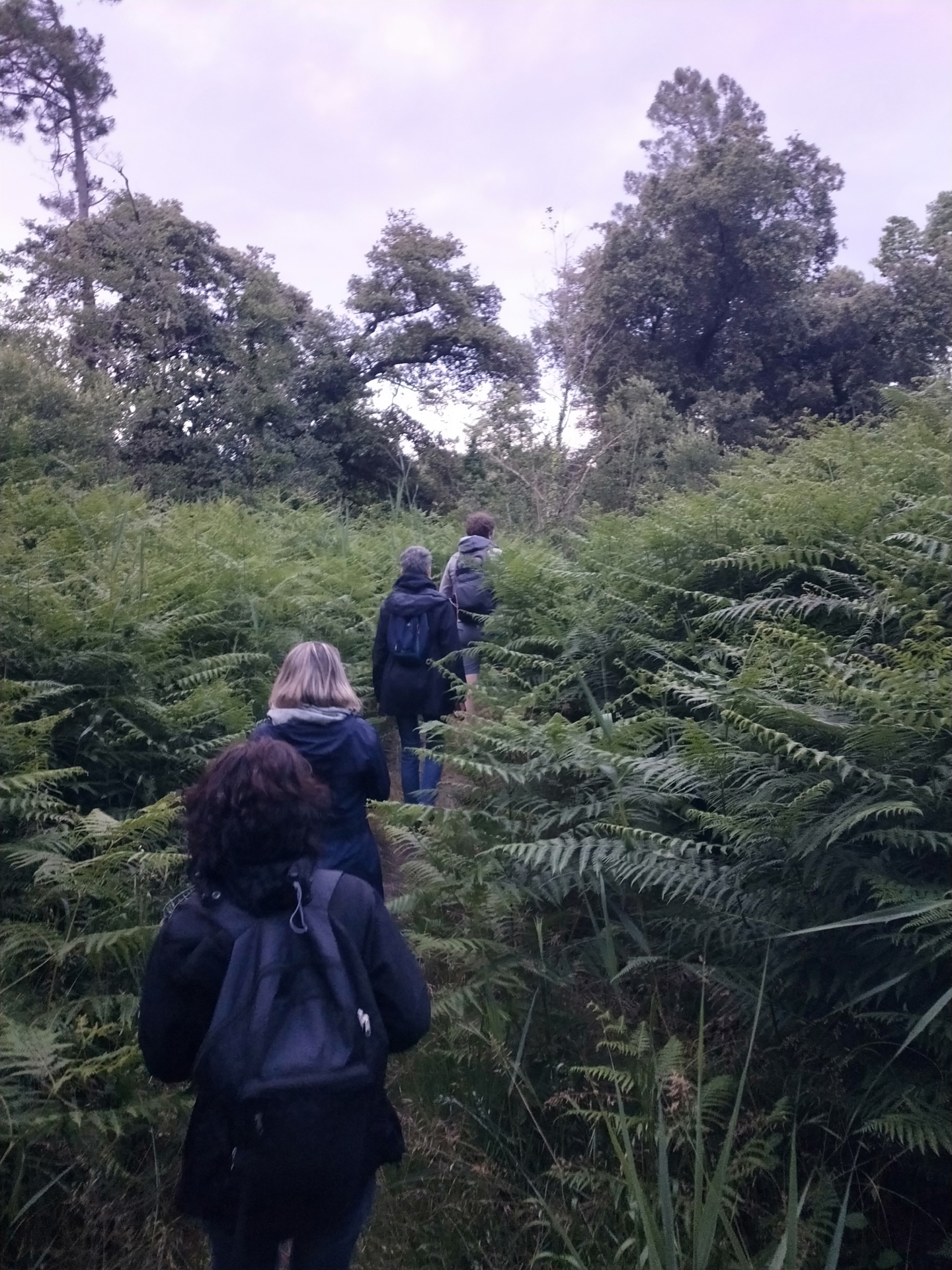 Soirée d&rsquo;ouverture des Nuits des Forêts sur l&rsquo;Île d&rsquo;Oléron
