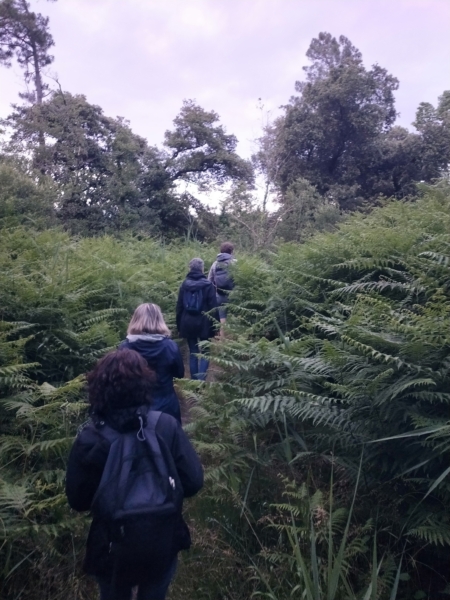 Soirée d&rsquo;ouverture des Nuits des Forêts sur l&rsquo;Île d&rsquo;Oléron