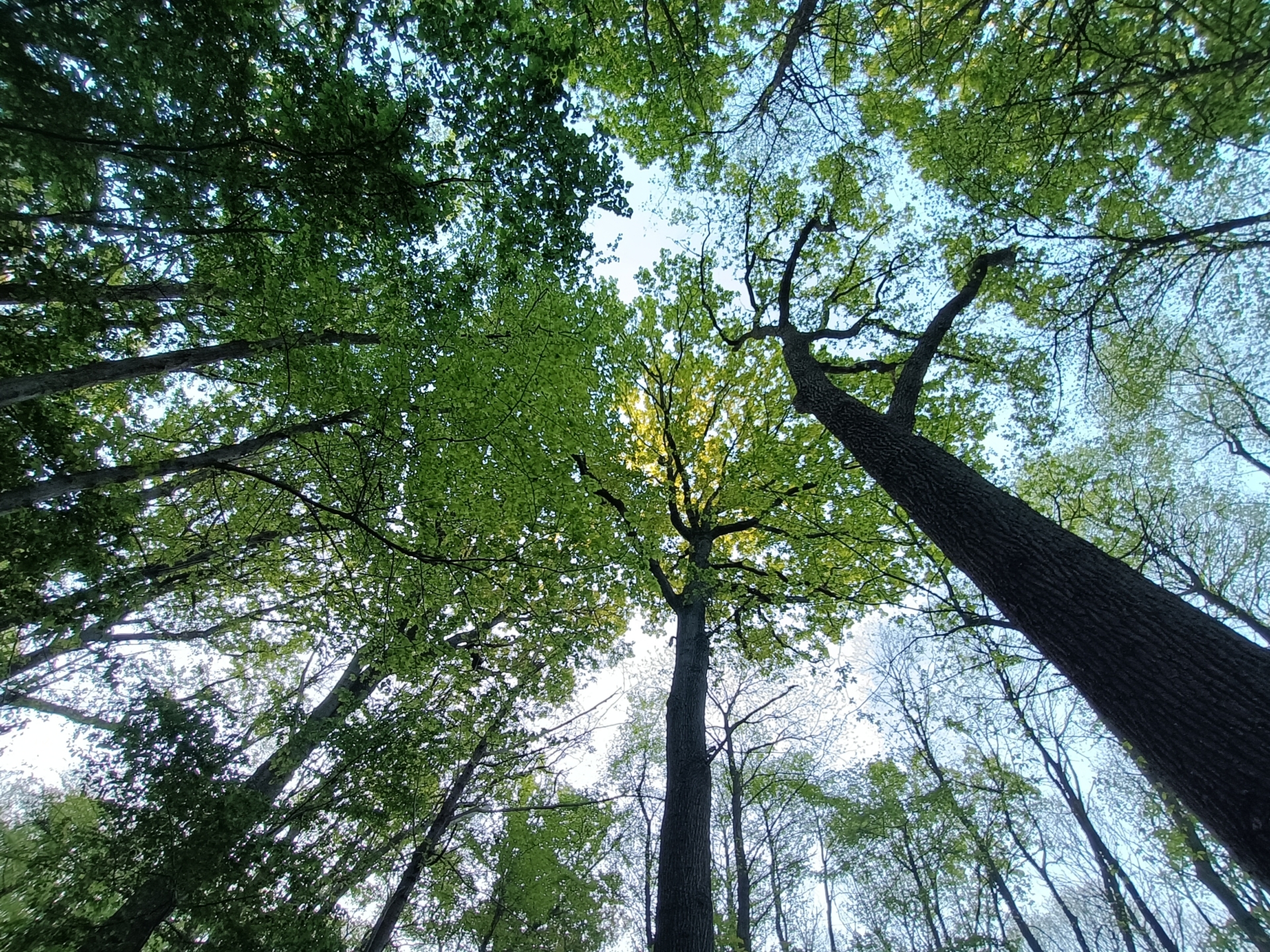 Balade nocturne à l&rsquo;écoute des vivants