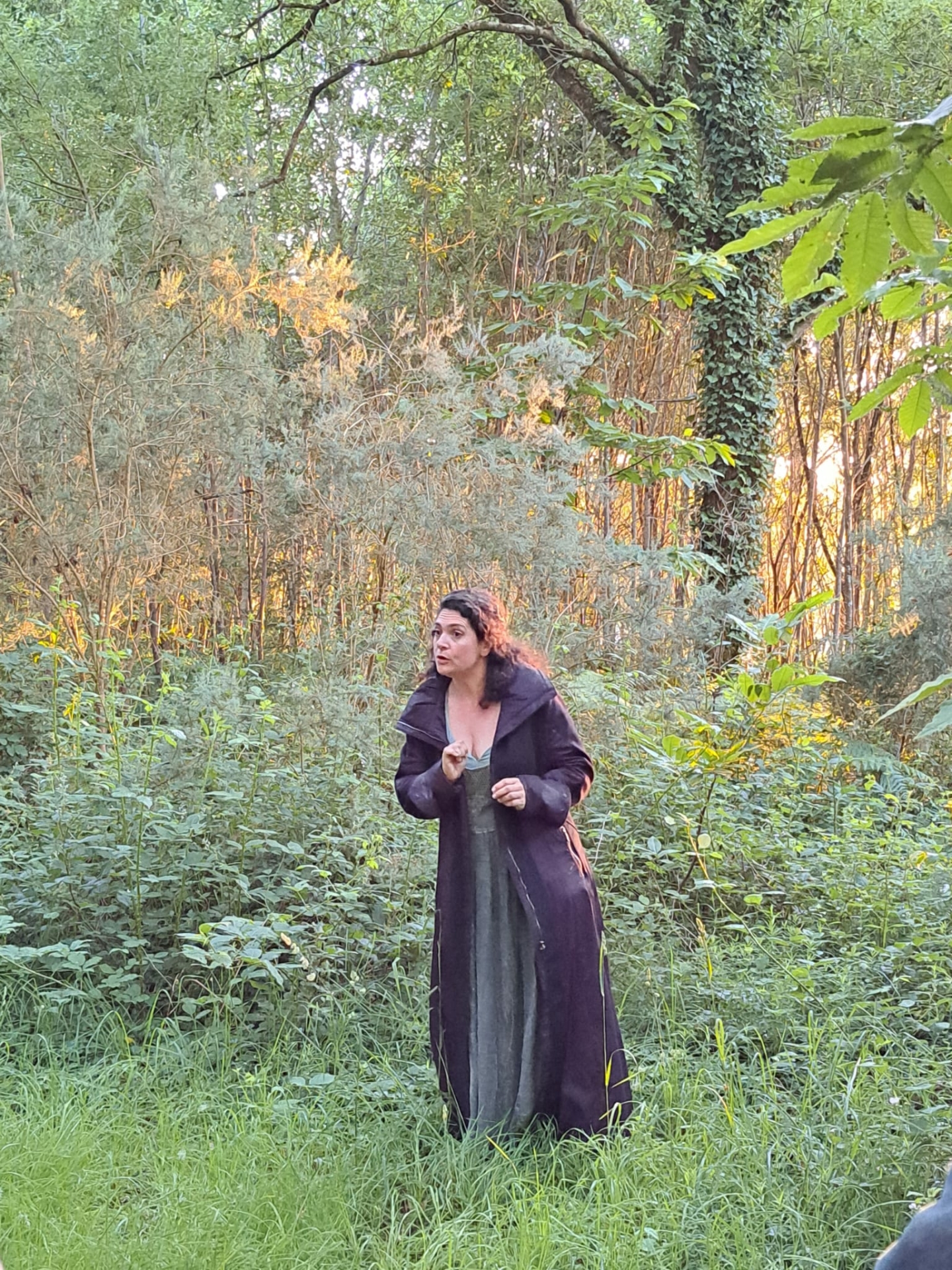 Balade famille à la rencontre de la forêt