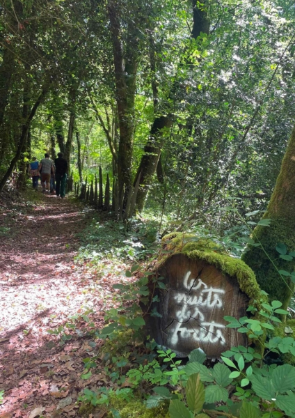 Week-end bivouac en forêt