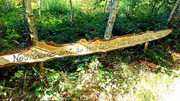 Exposition de photos forestières et animalières “Lieux sauvages” de Pierre RICH