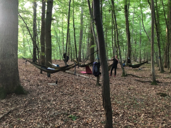 Une soirée bivouac dans la forêt domaniale de Compiègne !