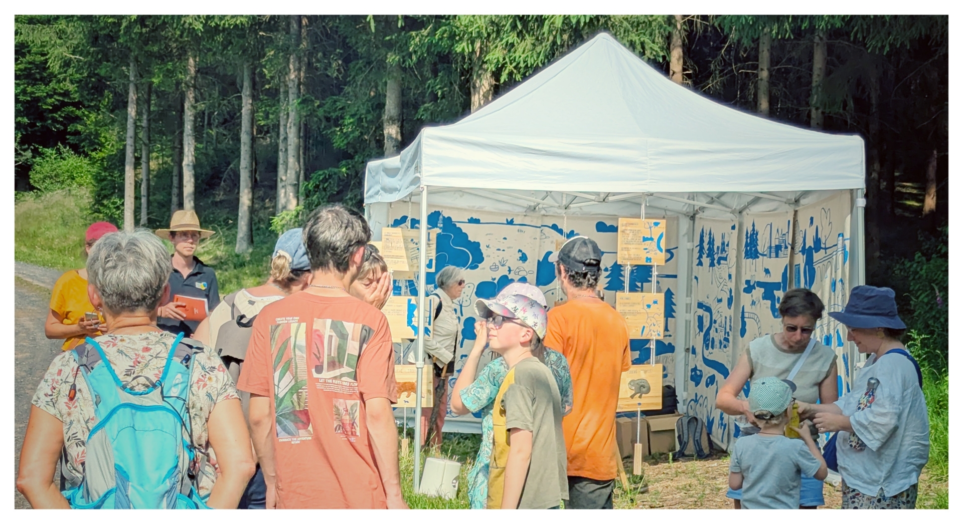 Jeux pêle-mêle sur la forêt