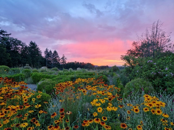 Bal trad : musique et danse en plein air