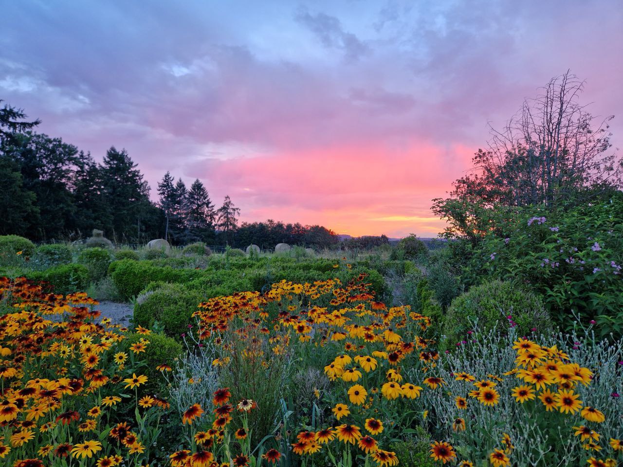 Bal trad : musique et danse en plein air