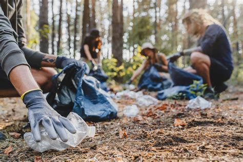 Archivé: Pour une forêt sans déchets