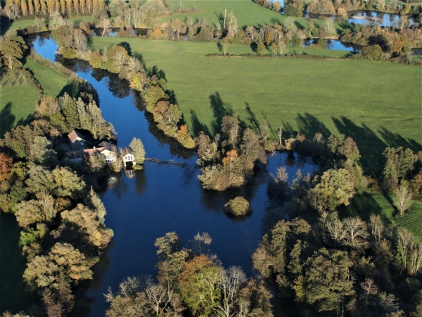 Journée familiale en forêt