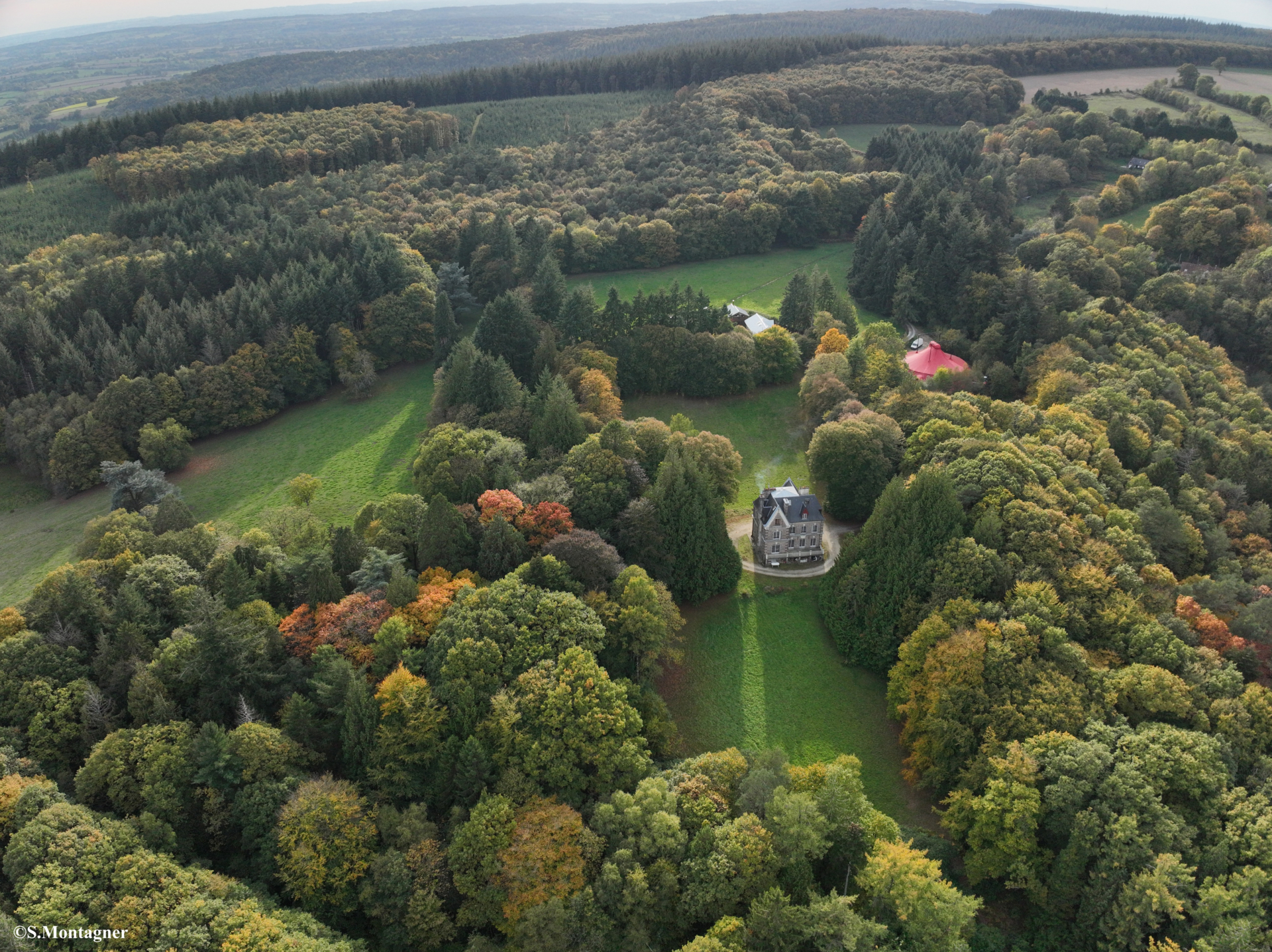 Soirée en immersion dans la forêt du tapis vert
