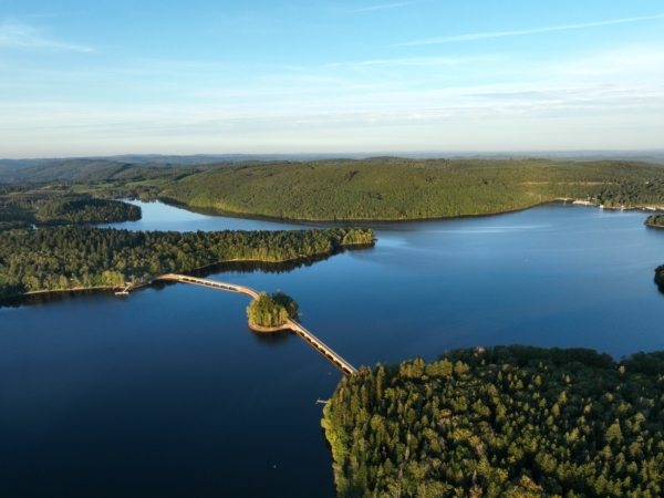 La forêt dans tous ses états