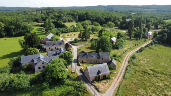 Une soirée dans la forêt des Âges