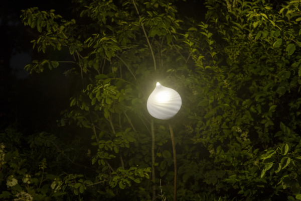 Soirée artistique en forêt
