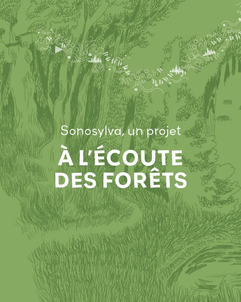 SONOSYLVA – Le projet à l&rsquo;écoute des forêts