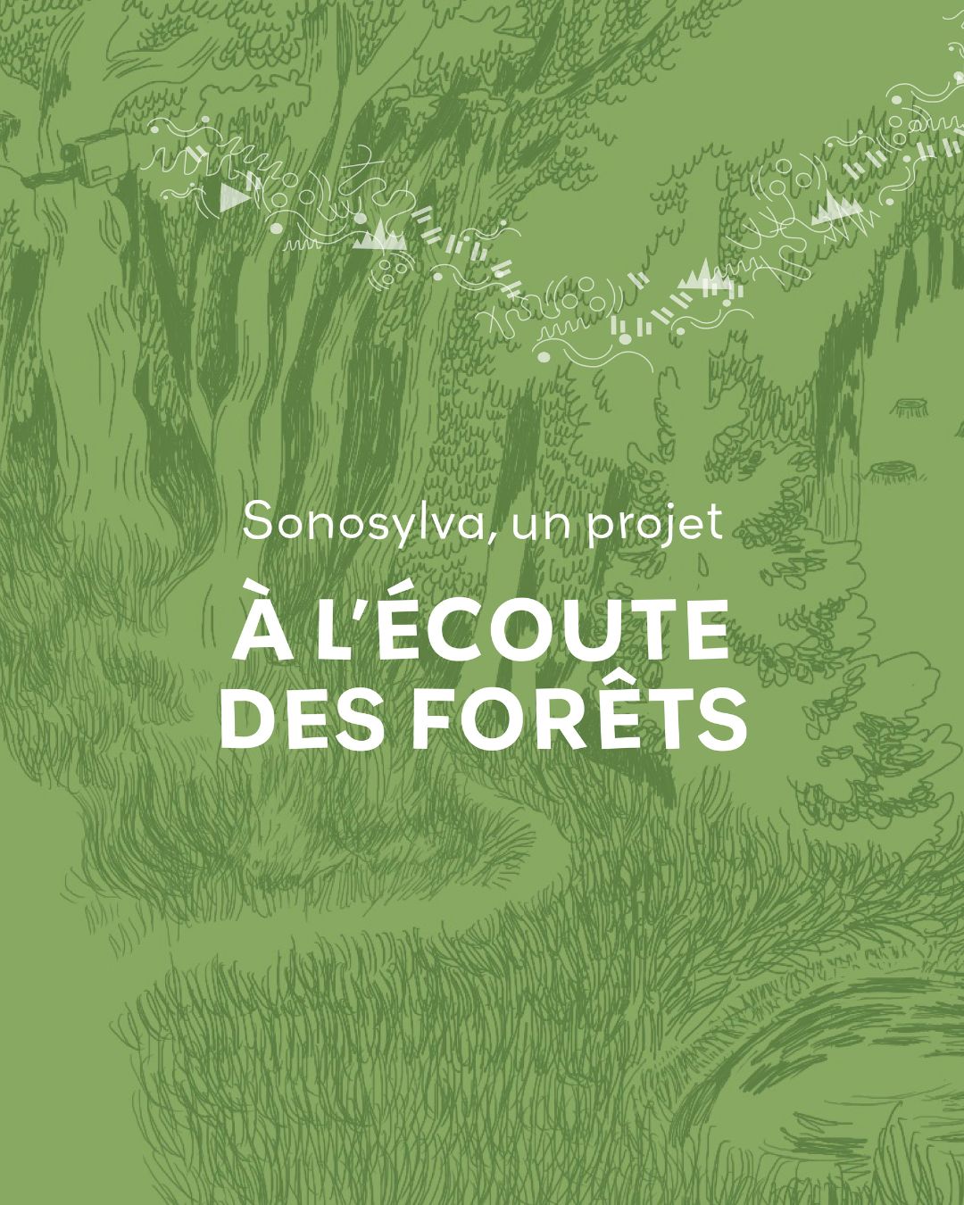 SONOSYLVA – Le projet à l&rsquo;écoute des forêts