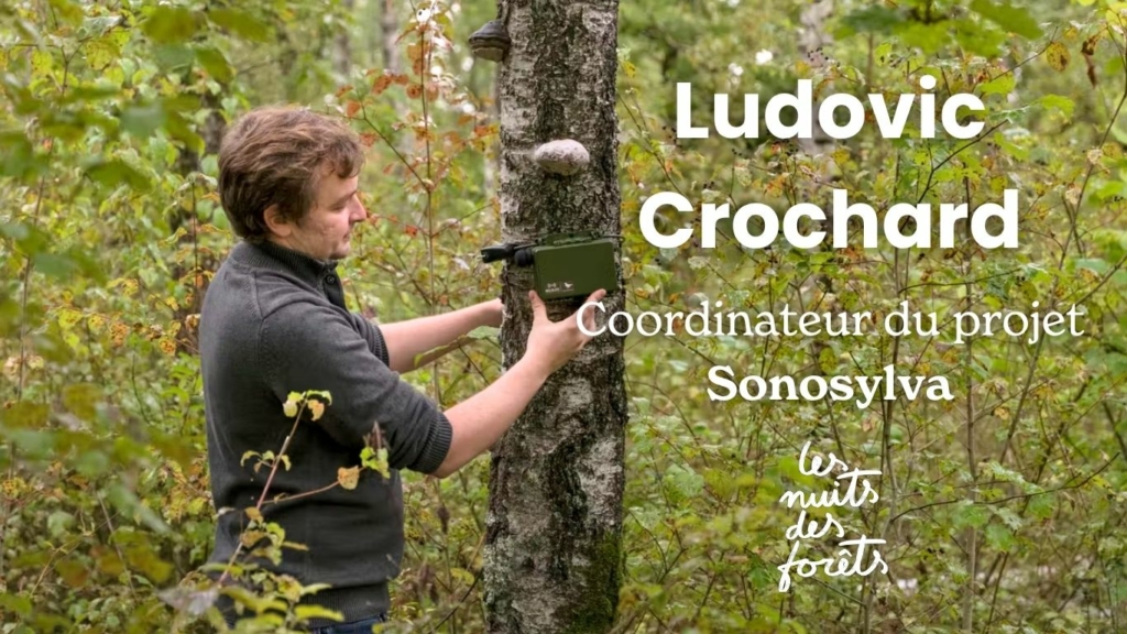 Rencontre avec Ludovic Crochard (Sonosylva)