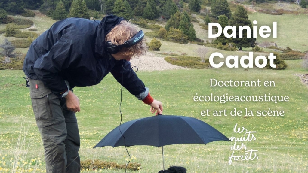 Rencontre avec Daniel Cadot (Sonosylva)