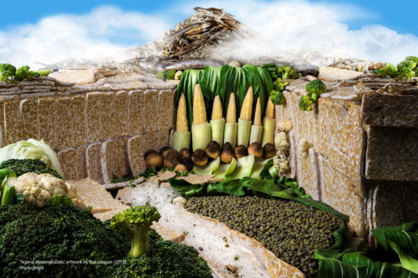 Exposition The Plantation Plot, Re-plating Mooi Indie au Jardin d’Agronomie Tropicale