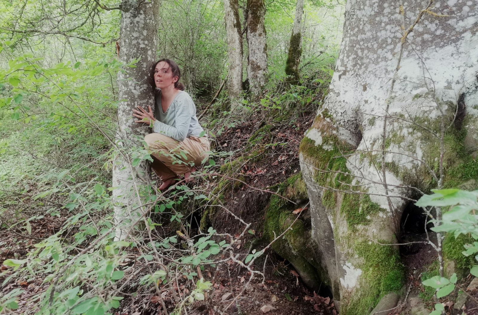 Corps, voix et imaginaires en forêt