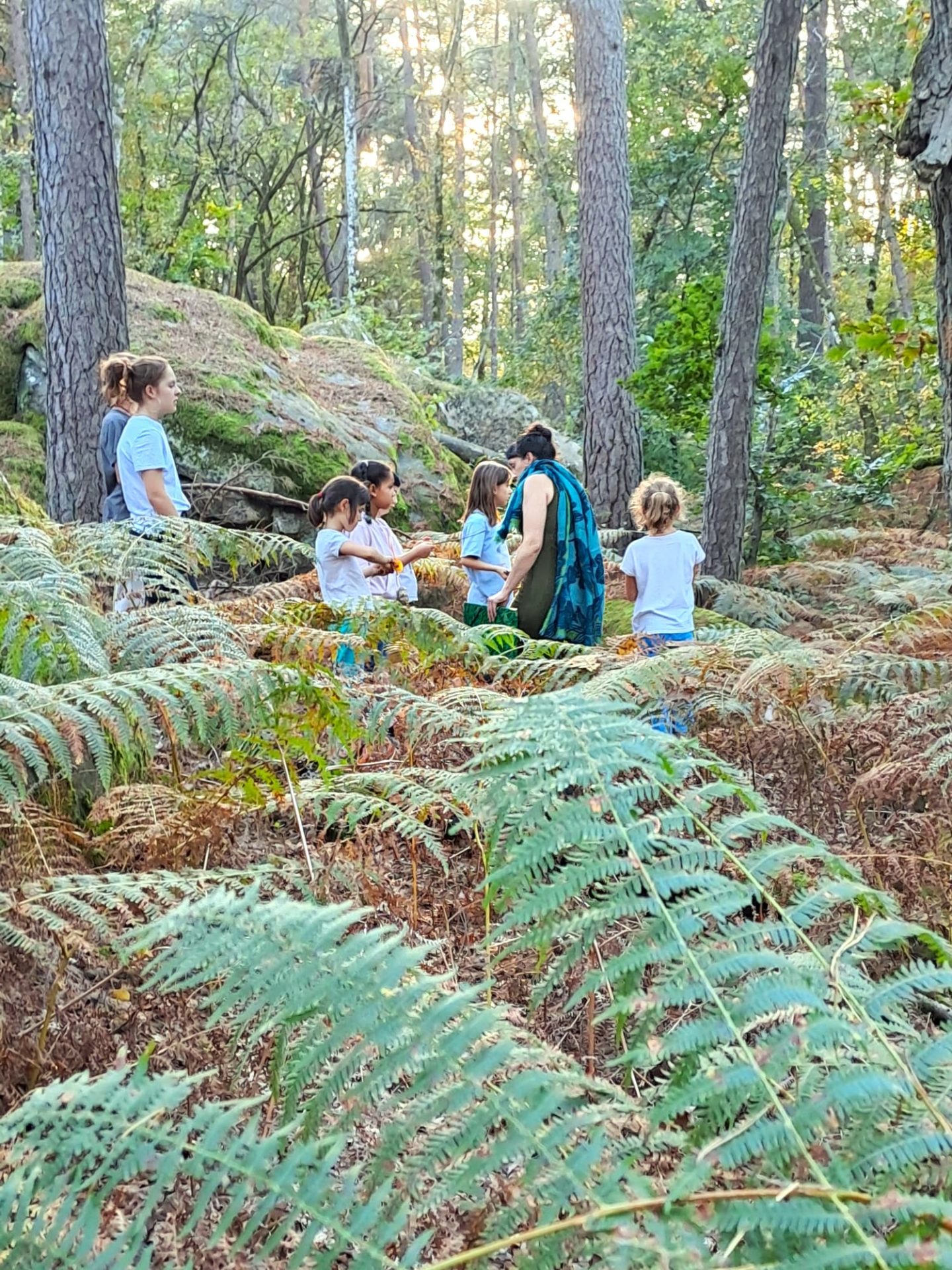 Atelier famille « Carnet de voyage en forêt »