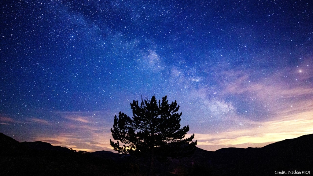 Les Nuits des forêts en Provence-Alpes-Côte d&rsquo;Azur