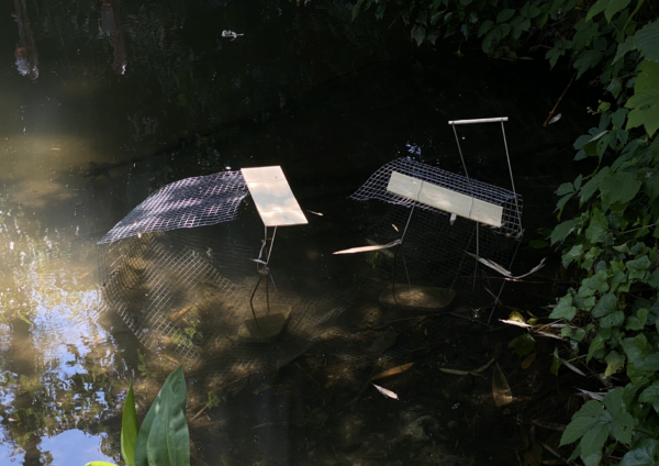 Exposition Les Invites architecturales au Jardin d&rsquo;Agronomie Tropicale