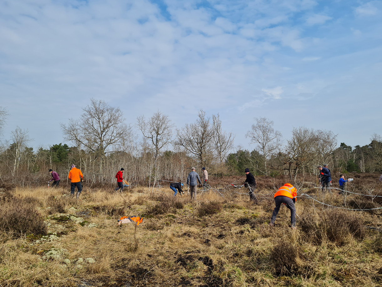 Activités en forêt, chantiers nature et balades découvertes
