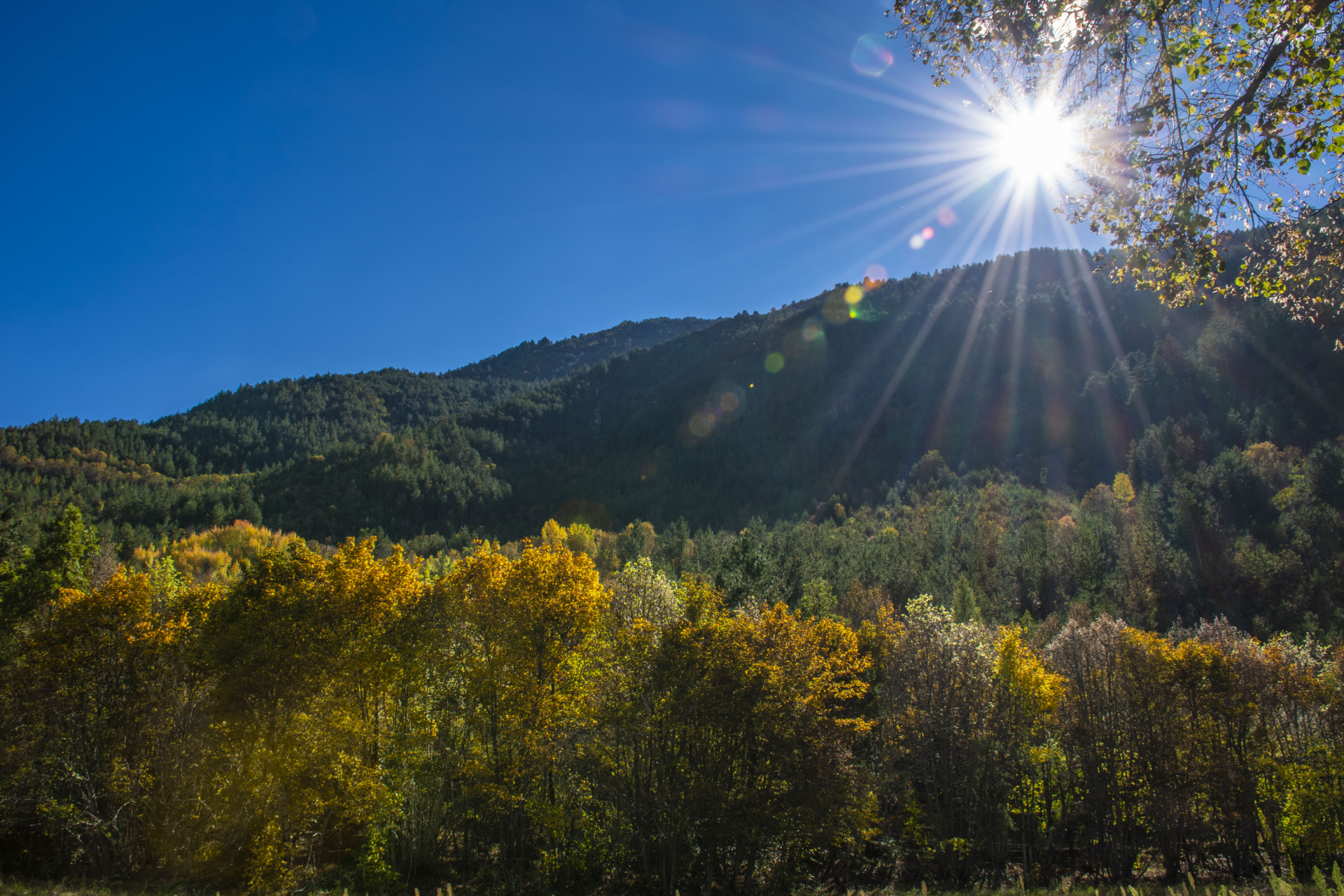 Journée découverte de la forêt de la Martre