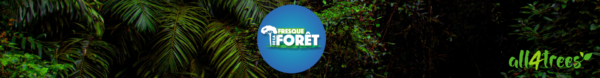 Fresque de la Forêt