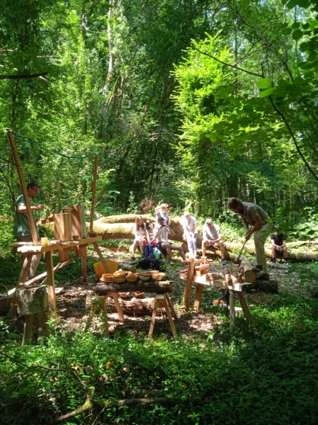 Festival et nuit en forêt – 6 juin