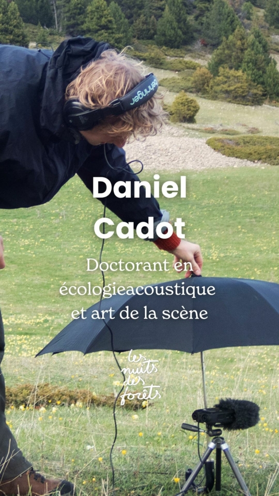 Rencontre avec Daniel Cadot (Sonosylva)
