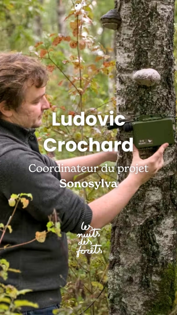 Rencontre avec Ludovic Crochard (Sonosylva)