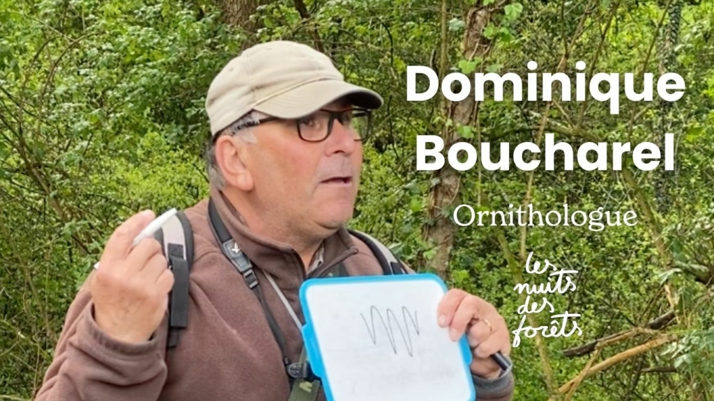 Rencontre avec Dominique Boucharel (LPO)