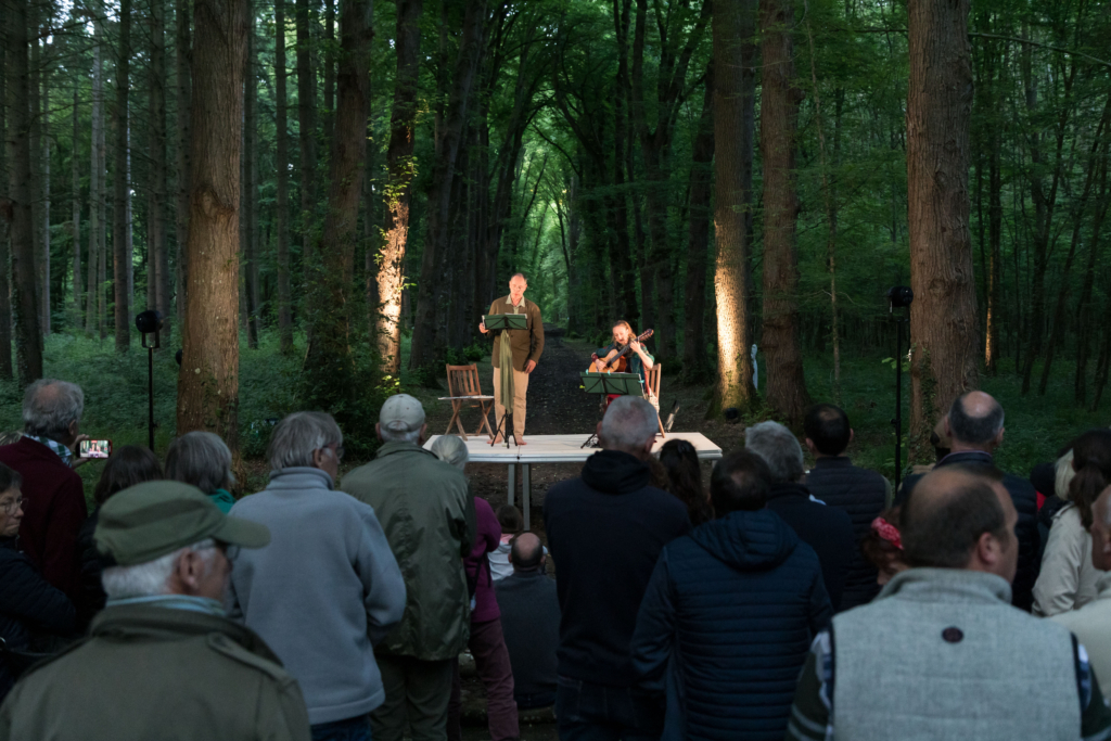 Les Nuits des Forêts en Hauts-de-France