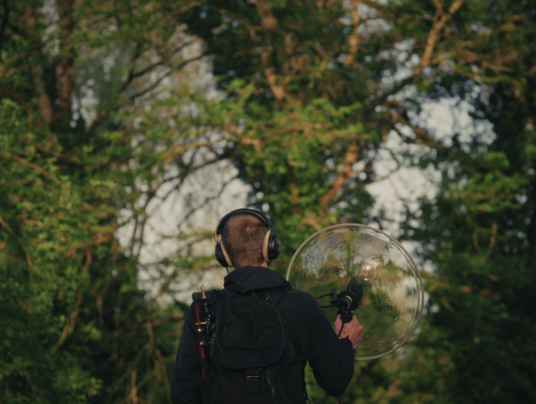 Les Nuits des Forêts au Jardin d’Agronomie Tropicale