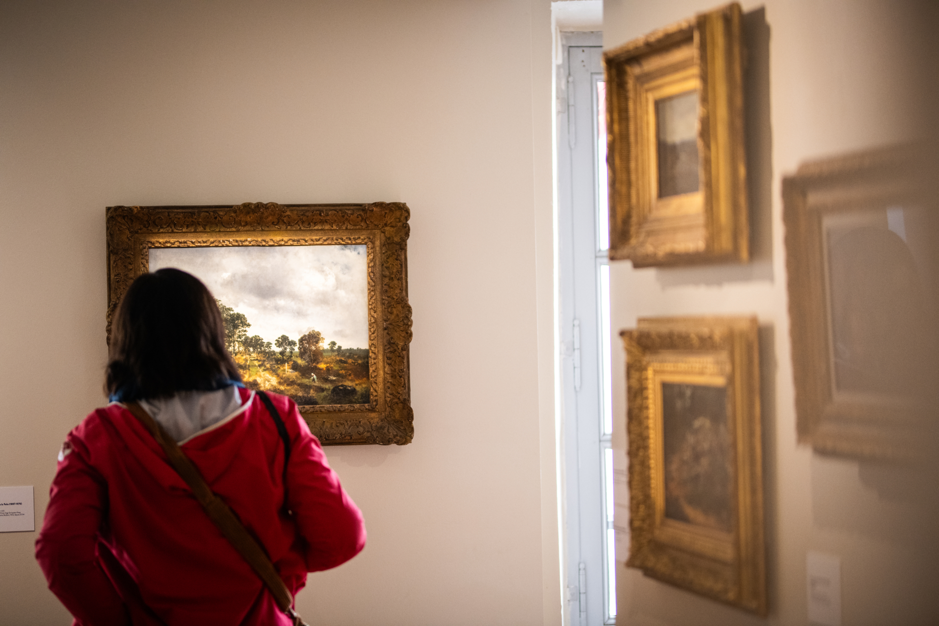 Visites guidées du musée