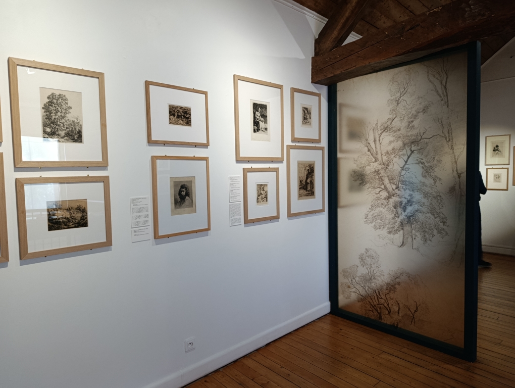 Visites guidées de l&rsquo;exposition
