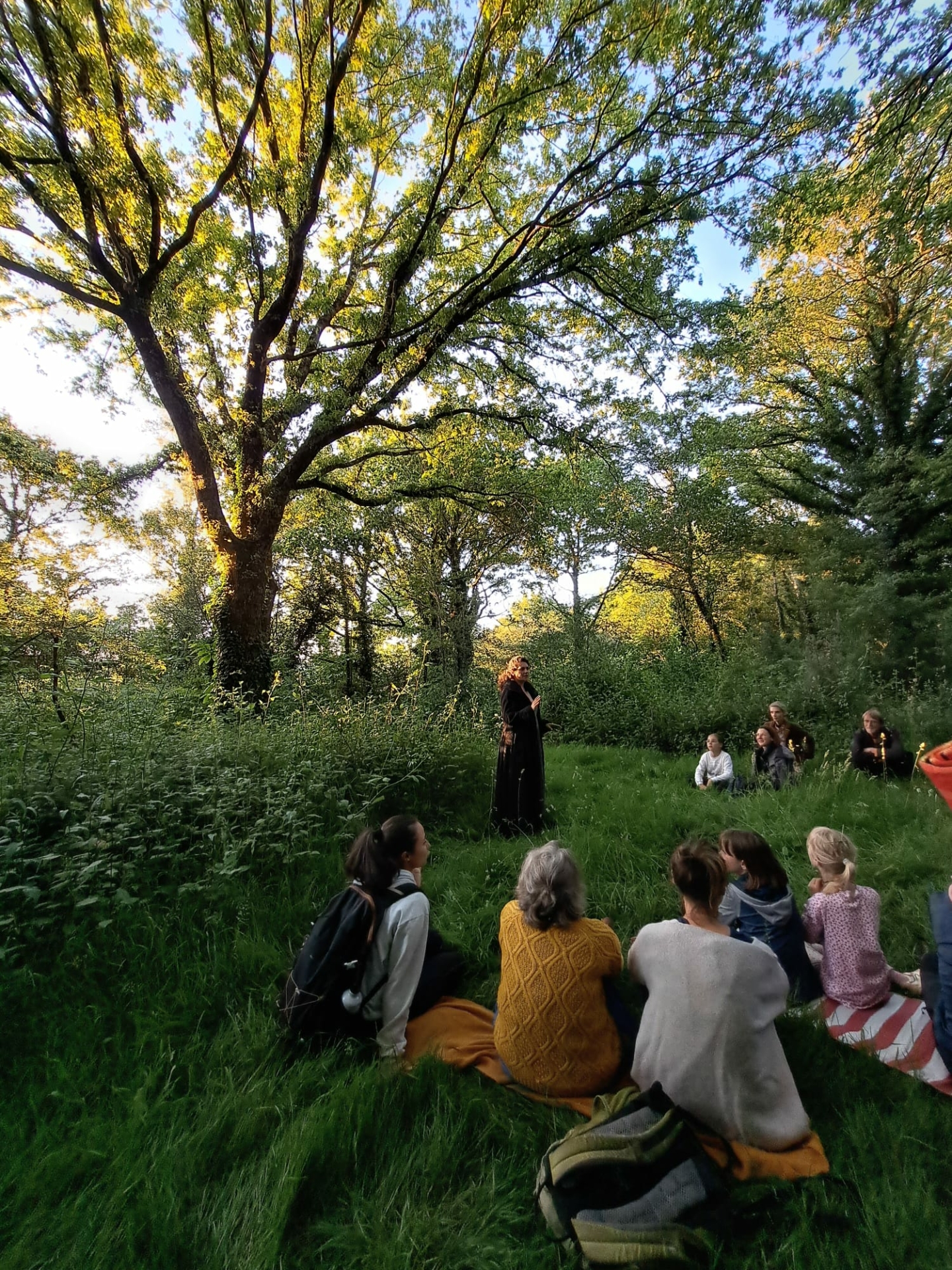 L’arbre à histoires