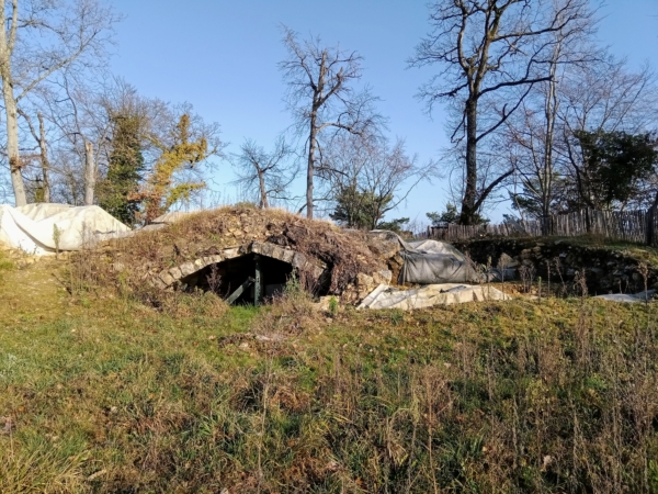 Visite de l’Ermitage Saint Louis, Sebastien Ronsseray, CD77