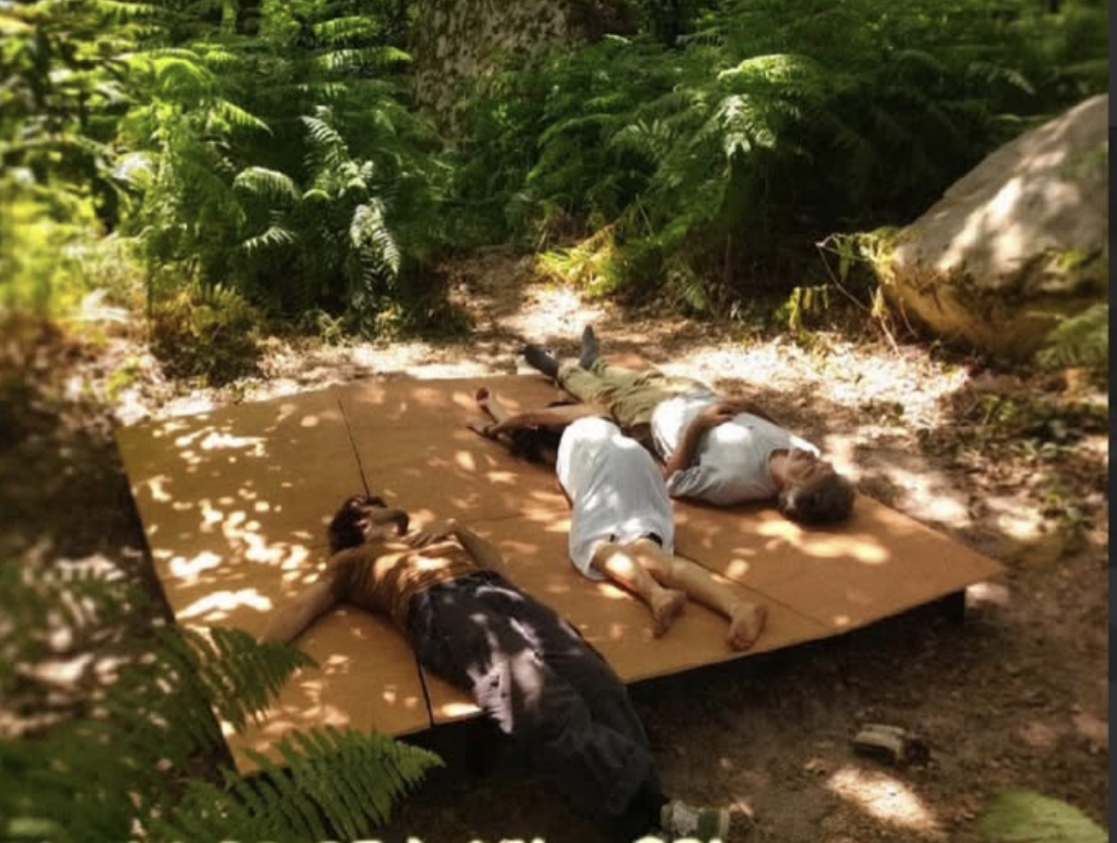 Experience sensorielle aux sons de la forêt avec SILVAREA !