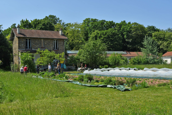 Balade botanique Gourmande, avec V’ile fertile